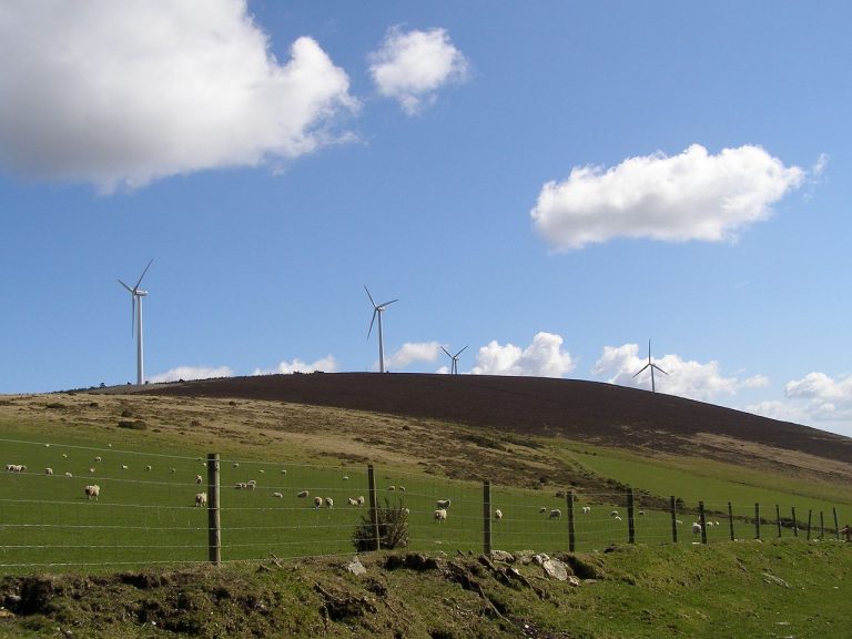 Ireland derailing renewable policy: activists