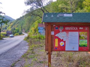 Bosnian activists hail dam victory