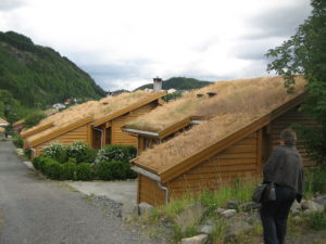 Low dam levels force Norway to import power