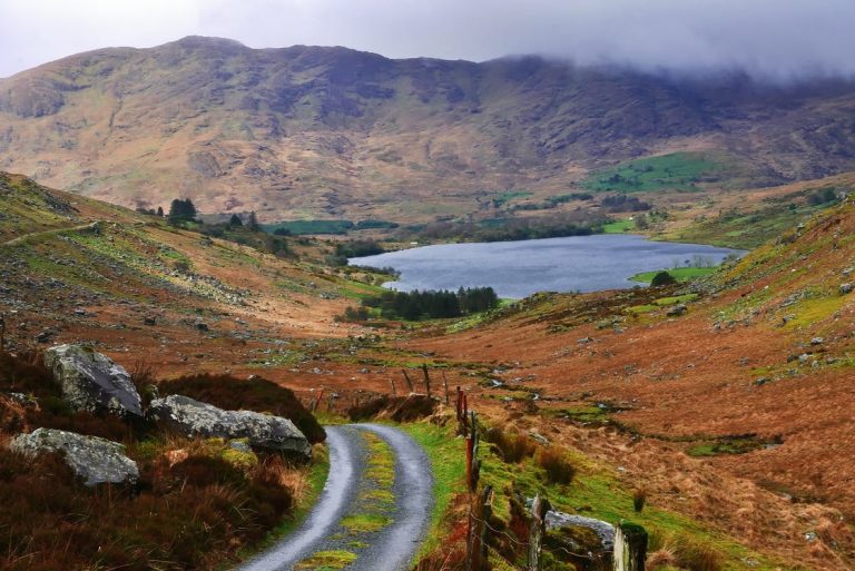 French renewables firm buys Irish wind farms
