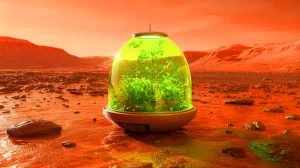Illustration of algae growing in Mars-like conditions inside bioplastic pods, generated by artificial intelligence.