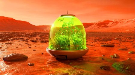 Illustration of algae growing in Mars-like conditions inside bioplastic pods, generated by artificial intelligence.