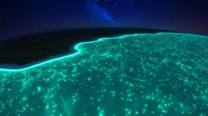 Illustration of a massive bioluminescent phytoplankton bloom off the southern coast of Australia, visible from space.