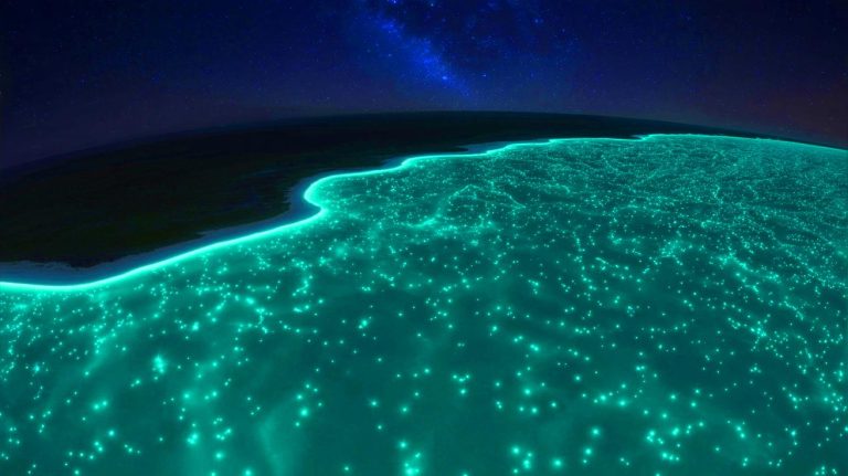 Illustration of a massive bioluminescent phytoplankton bloom off the southern coast of Australia, visible from space.