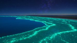 Illustration of a stunning turquoise glow off Australia's southern coast, revealing a massive bioluminescent phytoplankton bloom.