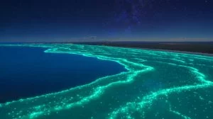 Illustration of a stunning turquoise glow off Australia's southern coast, revealing a massive bioluminescent phytoplankton bloom.