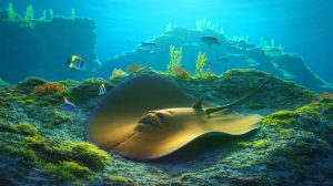 Illustration of an underwater volcano nurturing a nursery of giant skate ray eggs.