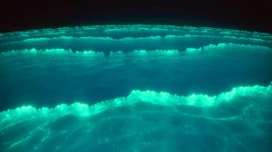 Illustration of a bioluminescent phytoplankton bloom off the southern coast of Australia, captured by NASA satellites.