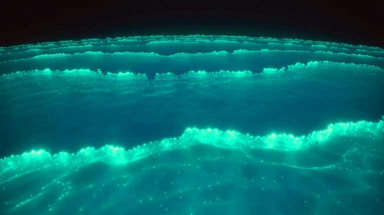 Illustration of a bioluminescent phytoplankton bloom off the southern coast of Australia, captured by NASA satellites.