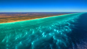 NASA Scientists Shocked by Massive Glowing Ocean Creature Visible From Space and Experts Warn Humanity May Face Unknown Sea Beings Illustration of a massive bioluminescent phytoplankton bloom off Australia's southern coast.