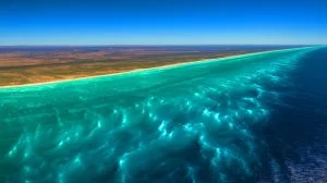 Illustration of a massive bioluminescent phytoplankton bloom off Australia's southern coast.