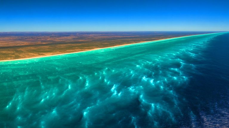 Illustration of a massive bioluminescent phytoplankton bloom off Australia's southern coast.