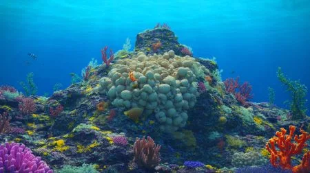 Illustration of an underwater volcano off Vancouver Island revealing a nursery of giant skate ray eggs.