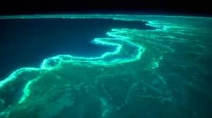 Illustration of a massive bioluminescent phytoplankton bloom off Australia's coast, visible from space.