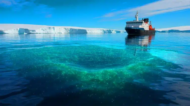 This Marine Mystery That Absorbs CO2 Gas And Researchers Fear The Coccolithophore Discovery Changes Ocean Science Illustration of the turquoise patch in the Antarctic Ocean with coccolithophores contributing to its reflectiveness.
