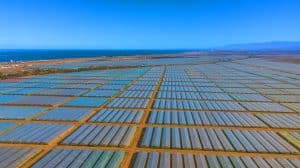 Illustration of a vast expanse of plastic greenhouses covering the arid landscape of Almería, Spain.