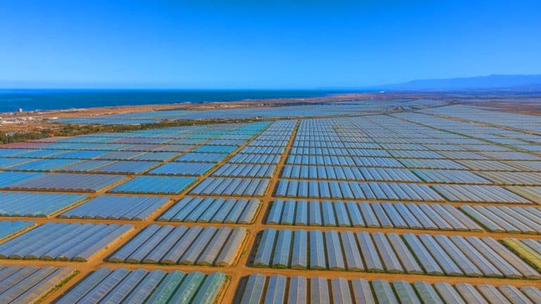 “From Desert To Breadbasket”: Spain’s 100,000-Acre Plastic Sea Feeds Europe While Plastic Waste And Water Shortages Threaten Collapse Illustration of a vast expanse of plastic greenhouses covering the arid landscape of Almería, Spain.