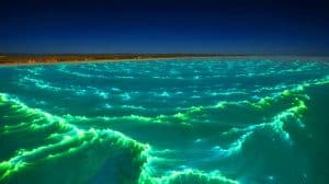 Illustration of NASA Satellites Capturing Bioluminescent Phytoplankton Bloom Off Australia's Coast.