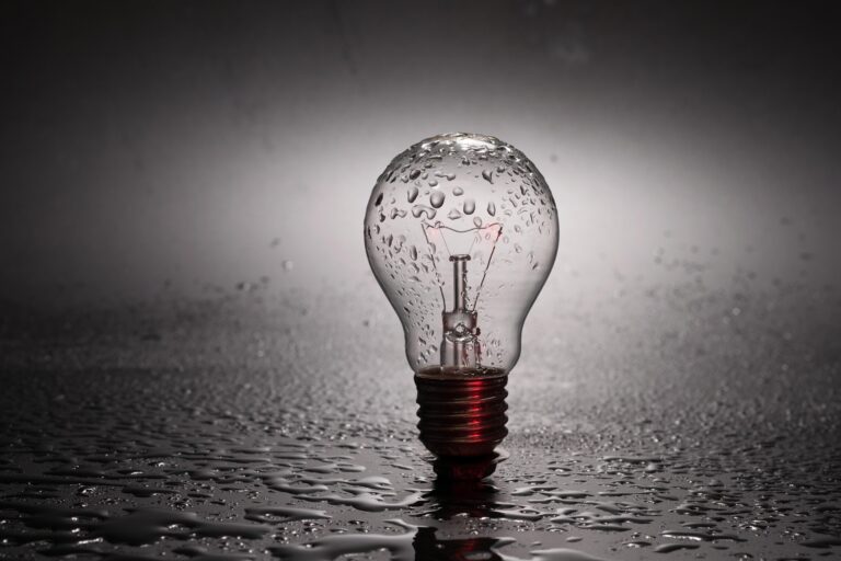 How energy subsidies affect the market and consumers