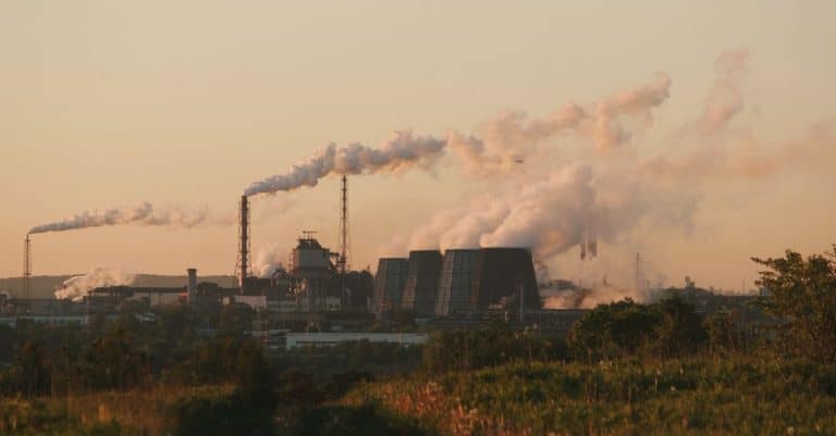 Resurgent Greens eye EU environmental shake-up climate change environment
