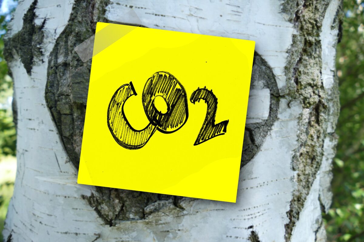 CO2 Emissions: How Carbon Dioxide Affects the Environment and the Planet