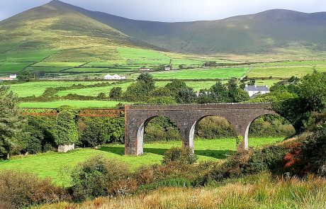 Irish wind sector struggles with rates and residents’ opposition 