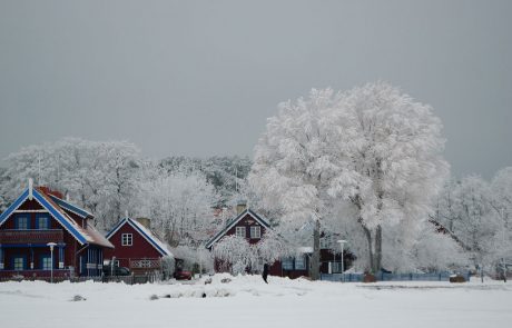 Lithuania questions daylight saving 