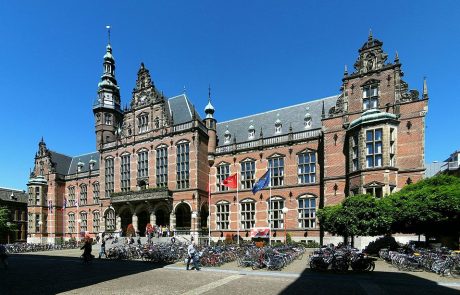 Groningen output must halve: report 