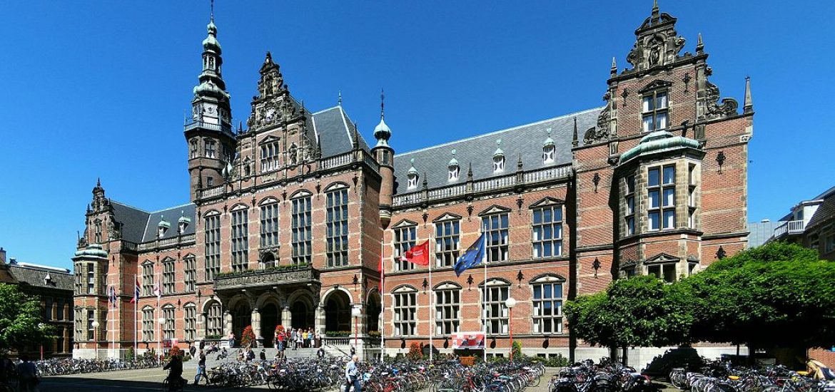 Groningen output must halve: report
