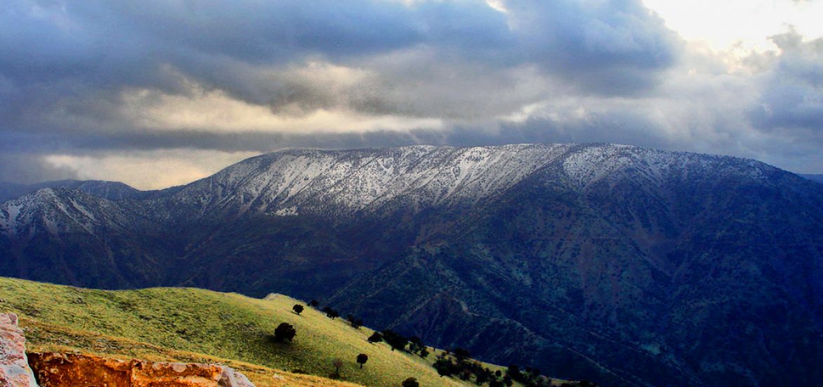 Russian delegates eye Kurdish deals