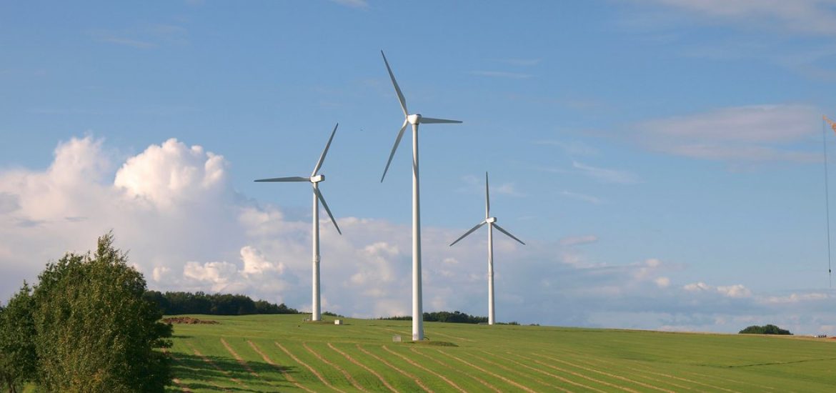 Germany reports sudden fall