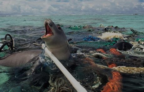 EU proposes plastic ban 