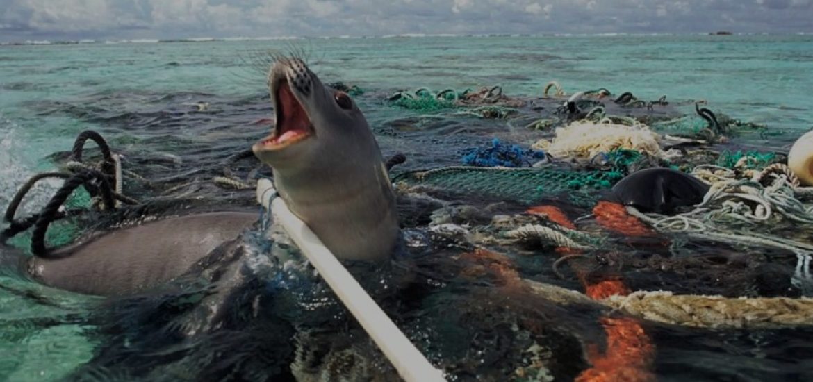 EU proposes plastic ban