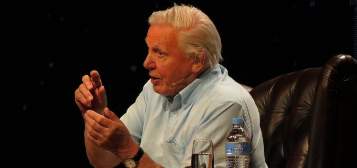 Attenborough tells COP 24 to act