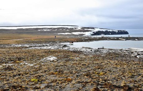 Arctic study discovers giant methane leak