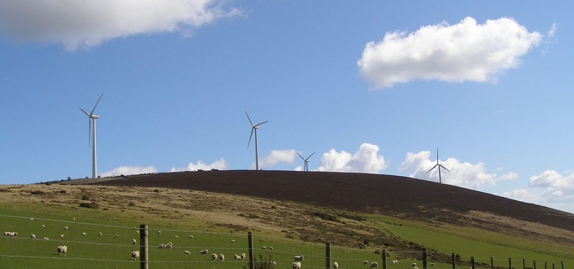 Ireland derailing renewable policy: activists