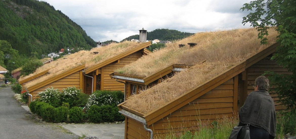 Low dam levels force Norway to import power