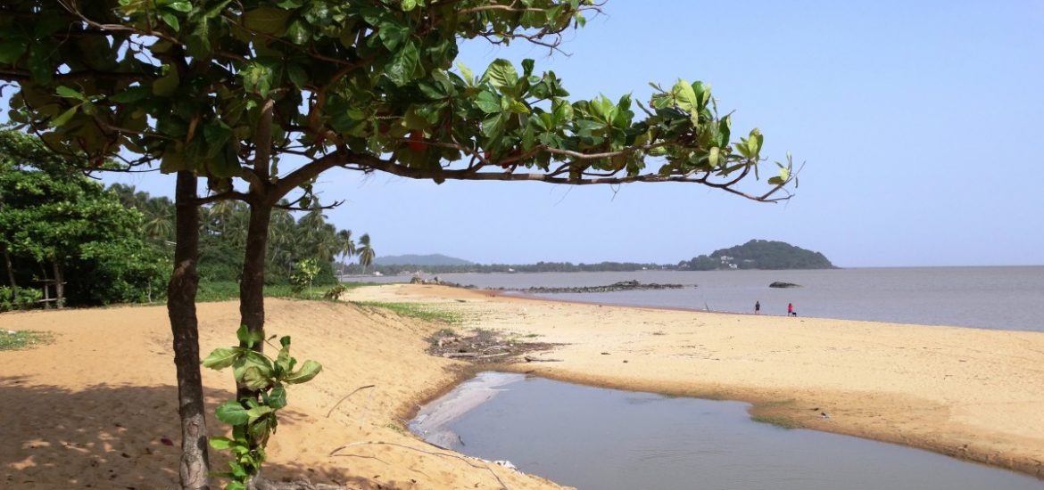 Tullow Oil disappointed by Guyana fields