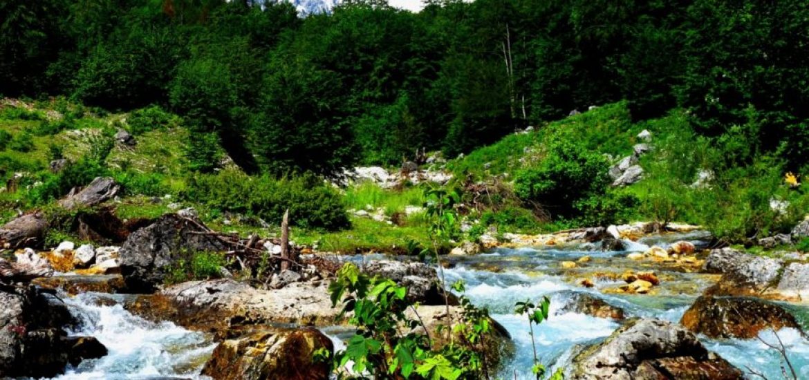 3,000 dams set to devastate Balkan rivers
