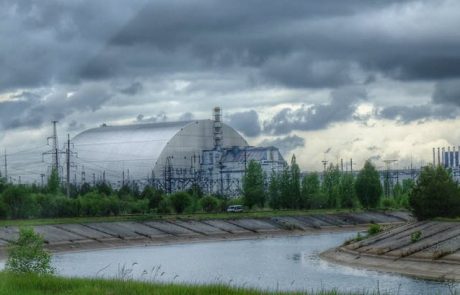 Chernobyl has become a refuge for wildlife 33 years after the nuclear accident
