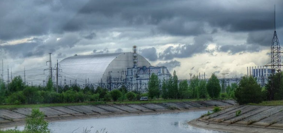 Chernobyl has become a refuge for wildlife 33 years after the nuclear accident