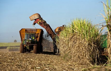 BP unveils giant Brazilian bioenergy joint venture