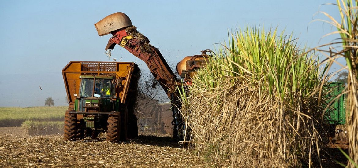 BP unveils giant Brazilian bioenergy joint venture