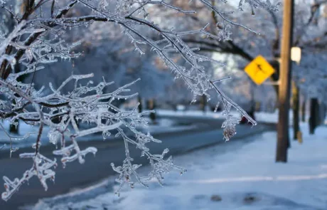 Ice storm blacks out 300K in Canada