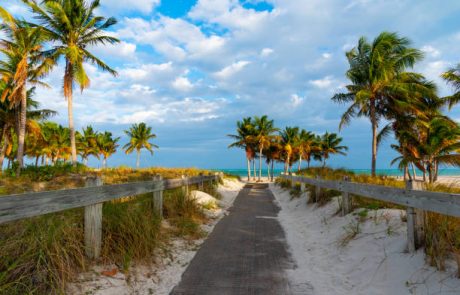 A Massive Seaweed Threat Looms Over Florida and the Caribbean