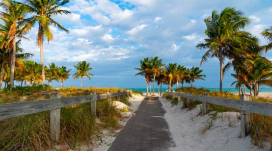 A Massive Seaweed Threat Looms Over Florida and the Caribbean