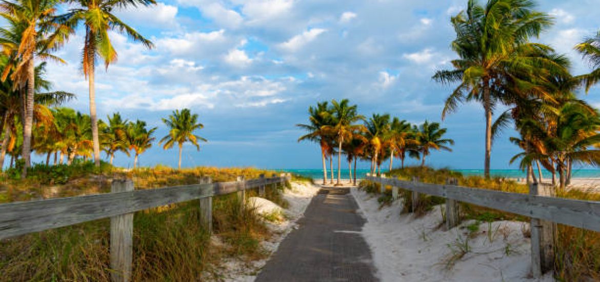 A Massive Seaweed Threat Looms Over Florida and the Caribbean