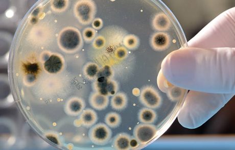 Botox Scare in the UK: Dozens Report Botulism Symptoms After Cosmetic Procedures