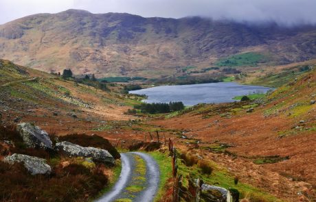 French renewables firm buys Irish wind farms 