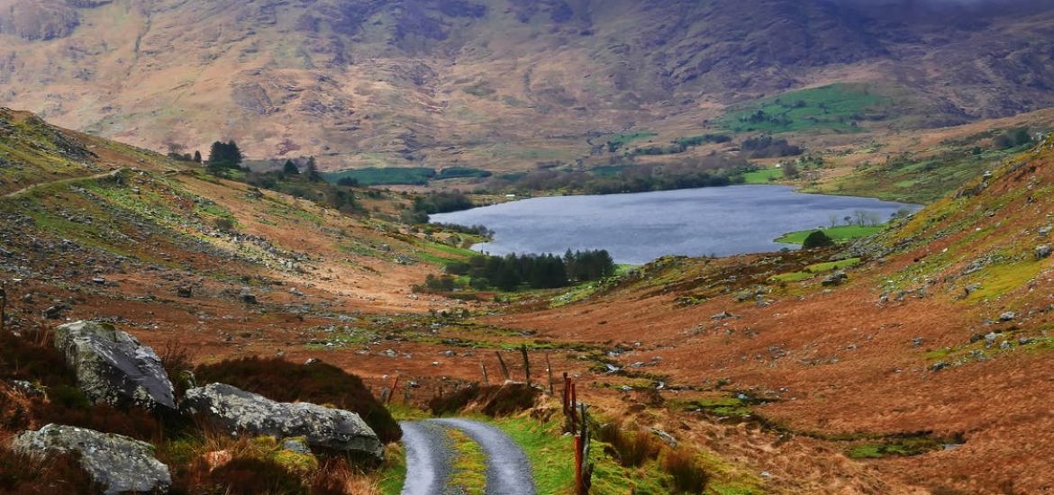 French renewables firm buys Irish wind farms 